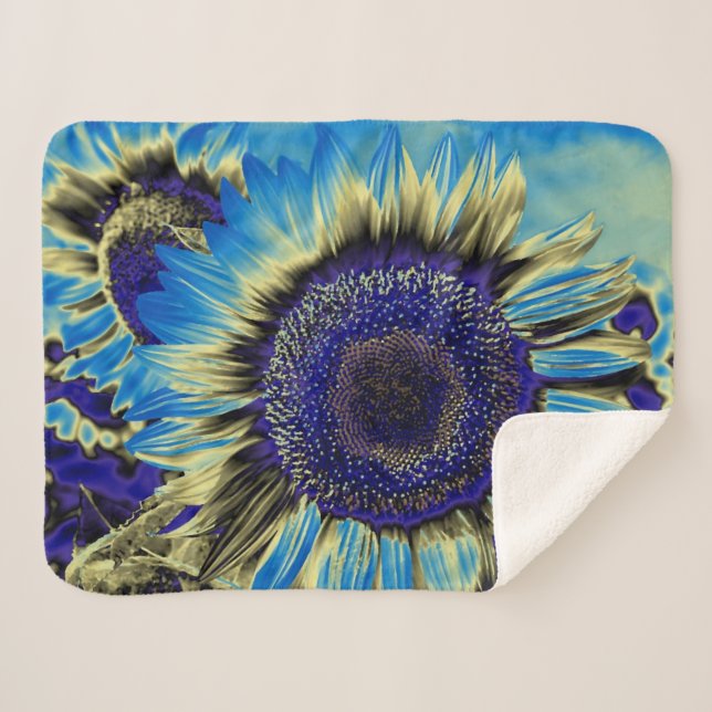 Blaublume Sherpadecke (Vorderseite (Horizontal))