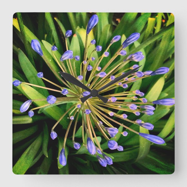 Blaublumen Quadratische Wanduhr (Vorderseite)