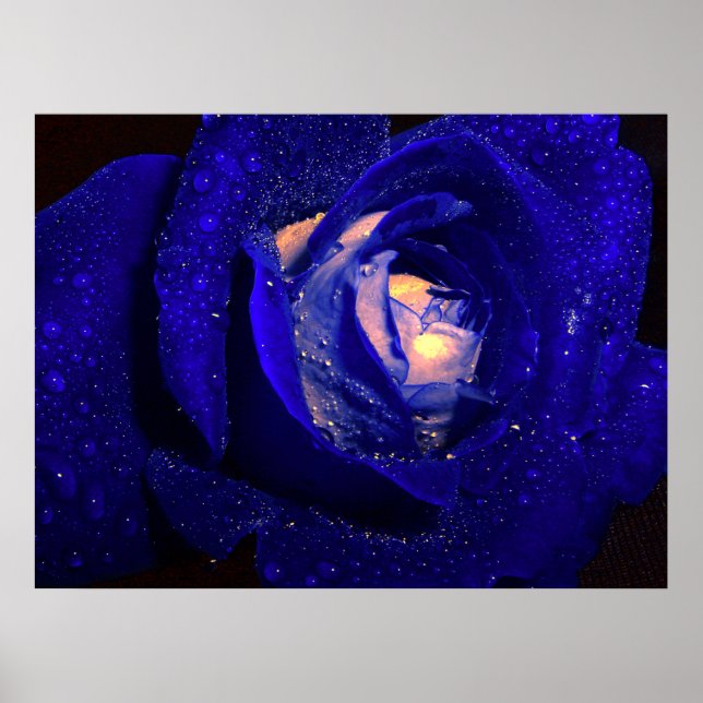 Blaudiamanten Poster (Vorne)