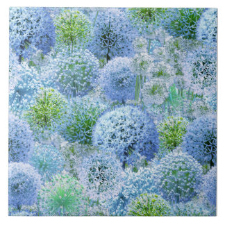 Blaue Alliums Fliese