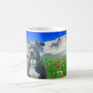 Blaue amerikanische Pitbull Terrier, Spiess-Spitze Kaffeetasse