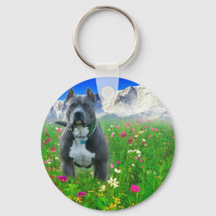 Blaue amerikanische Pitbull Terrier, Spiess-Spitze Schlüsselanhänger