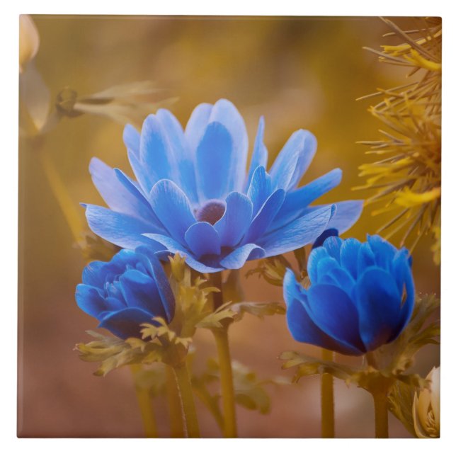 Blaue Anemone Fliese (Vorderseite)