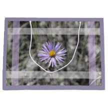 Blaue Aster-Blume