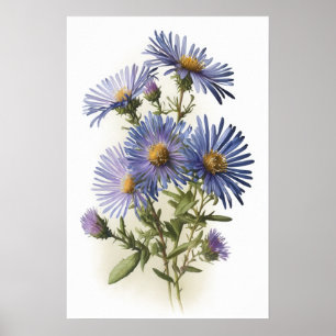 Blaue Aster-Blumen-Kunstposter Poster
