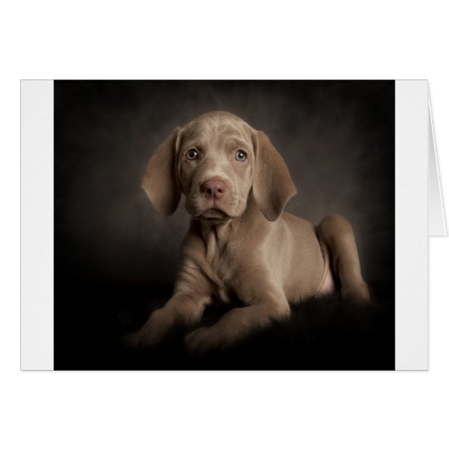 Blaue Augen (Vorderseite (Horizontal))