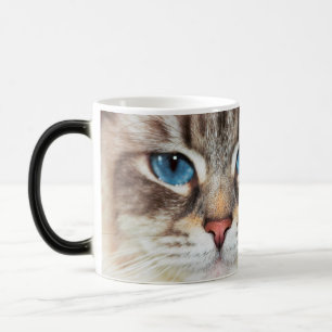 Blaue Augen   des Katzengesichtes   purrr-fection Verwandlungstasse