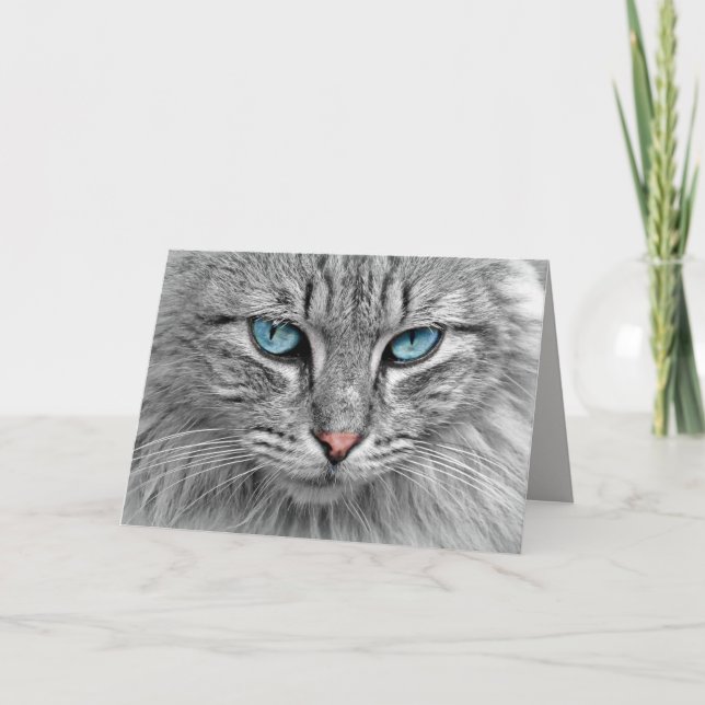 Blaue Augen Grußkarte Karte (Vorderseite)