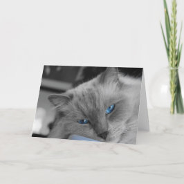Blaue Augen Karte