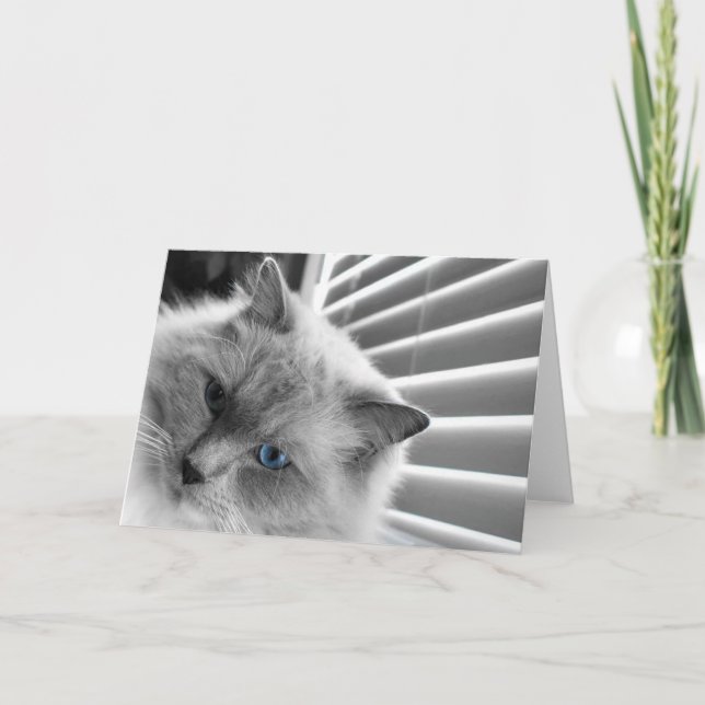 Blaue Augen, Karte (Vorderseite)