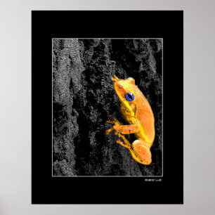 Blaue Augen Poster