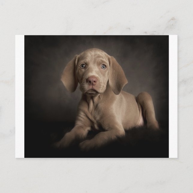 Blaue Augen Postkarte (Vorderseite)