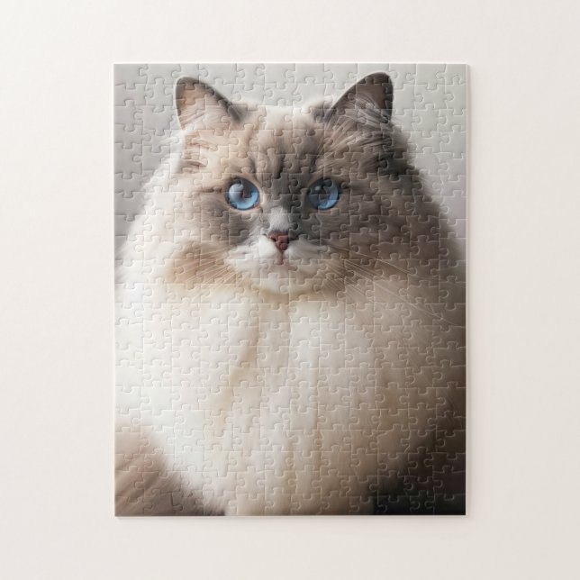 Blaue Augen Ragdoll Katze | Fluffiger Luxus (Vertikal)