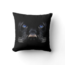 Blaue Augen Schwarzer Panther