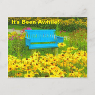 Blaue Bank in einem Gelbschwarz-Augen-Feld Postkarte