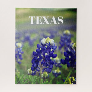 Blaue Blaublüten Texas Texanisch Floral