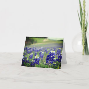 Blaue Blaublüten Texas Texanisch Floral Dankeskarte