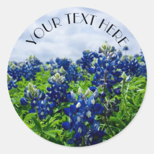 Blaue Blaue Blume Texas Texaner Floral Runder Aufkleber