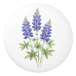 Blaue Blaue Blumen Texas Texaner Keramikknauf