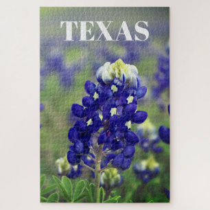 Blaue Bluebonnets-Blumen Texas Texan Blumen