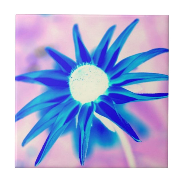 blaue Blume auf rosa Kachel (Vorderseite)