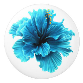 Blaue Blume Keramik Pull Keramikknauf