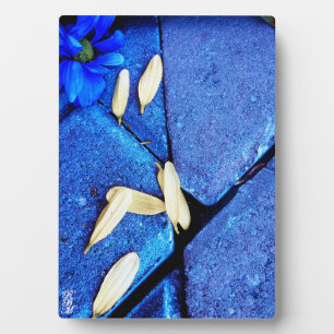 Blaue Blume und gelbe Blütenblätter Fotoplatte