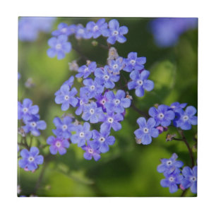 Blaue Blumen Blüten Entdeckungsreise zur Liebe Par Fliese