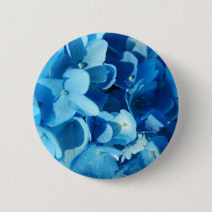 Blaue Blumen, Hydrangea Button