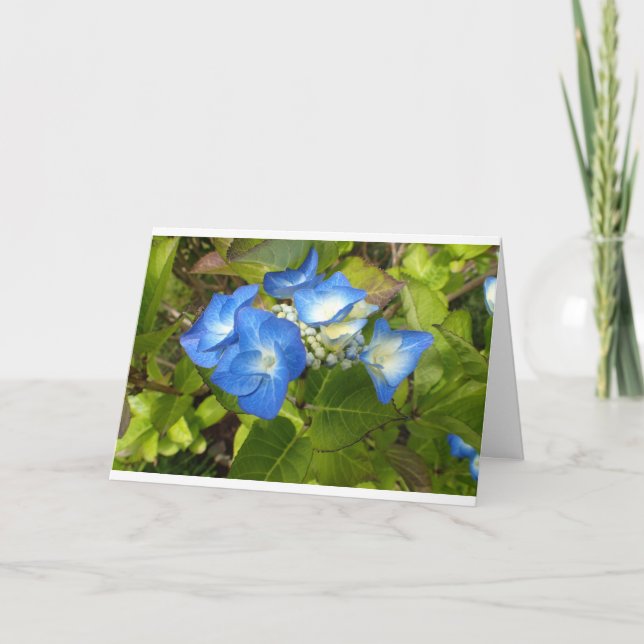 Blaue Blumen Notecard Karte (Vorderseite)