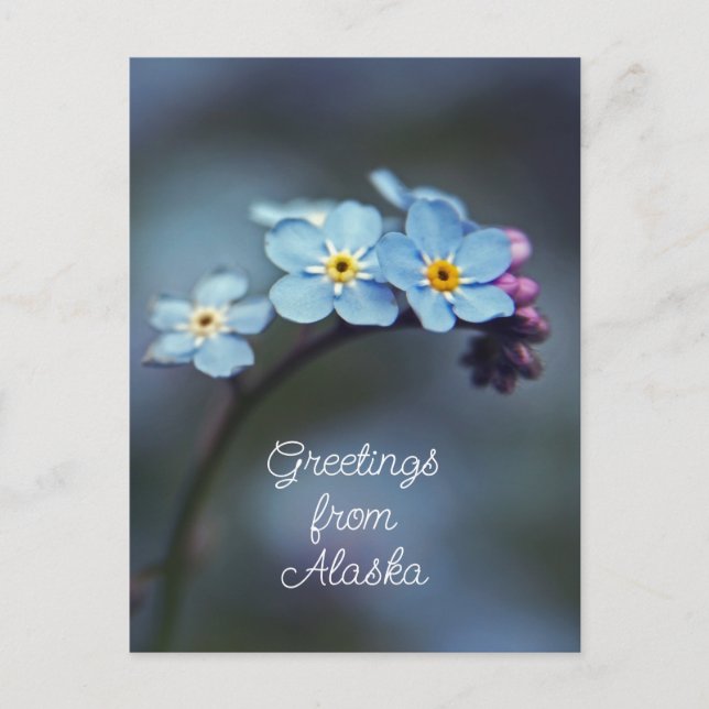 Blaue Blumen Vergessen Sie mir nicht Grüße von Ala Postkarte (Vorderseite)