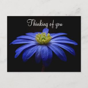 Blaue Blumenpostkarte Postkarte