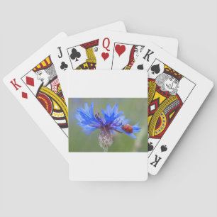 Blaue Blüten Ladybug Liebe Locarno Spielkarten