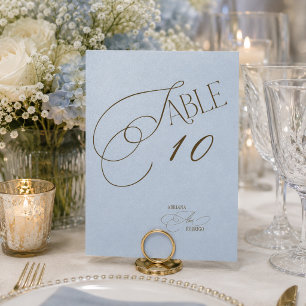 Blaue Braune Romantische Hochzeit Tischnummer
