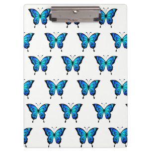 Blaue Butterflys von Schaufenstern. Klemmbrett