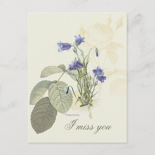 Blaue Campanula 1 Postkarte (Vorderseite)