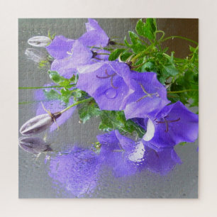 Blaue Campanula mit Regentropfen und Reflektionen