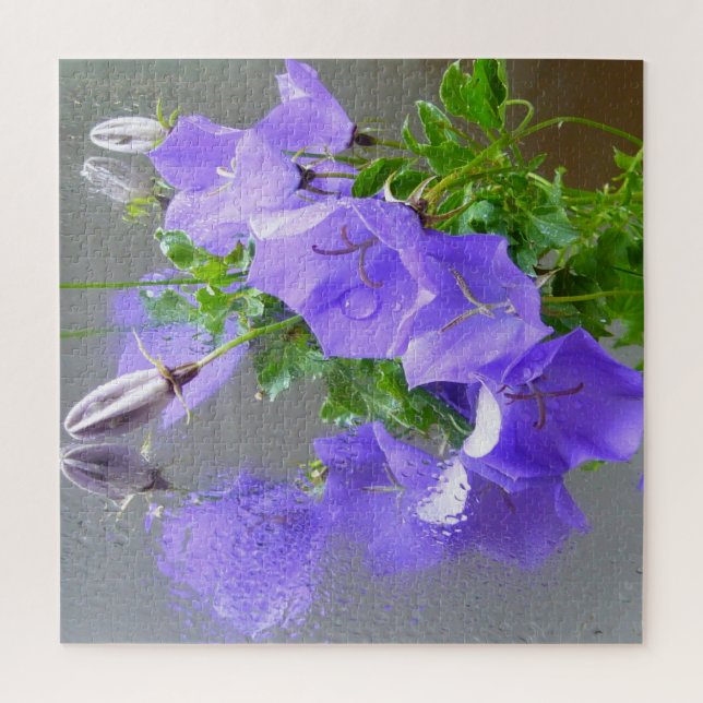 Blaue Campanula mit Regentropfen und Reflektionen (Vertikal)