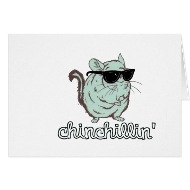 Blaue Chinchillin Chinchilla (Vorderseite (Horizontal))