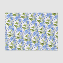 Blaue Delphinium-Blume