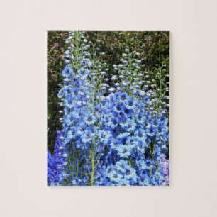 Blaue Delphinium-Blumen Garten Natur