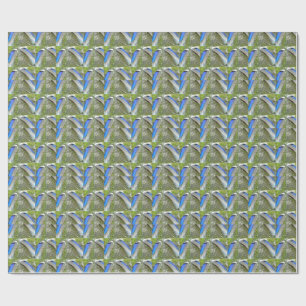 Blaue Duckfedern, Tier, Vogel Geschenkpapier