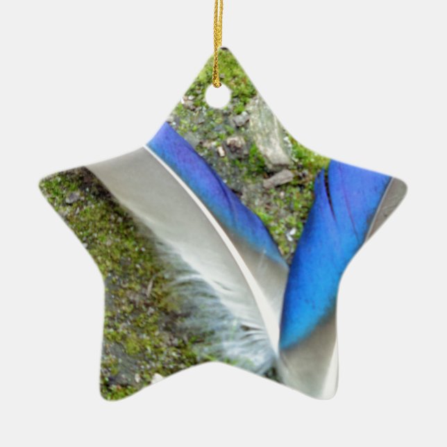 Blaue Duckfedern, Tier, Vogel Keramikornament (Vorne)