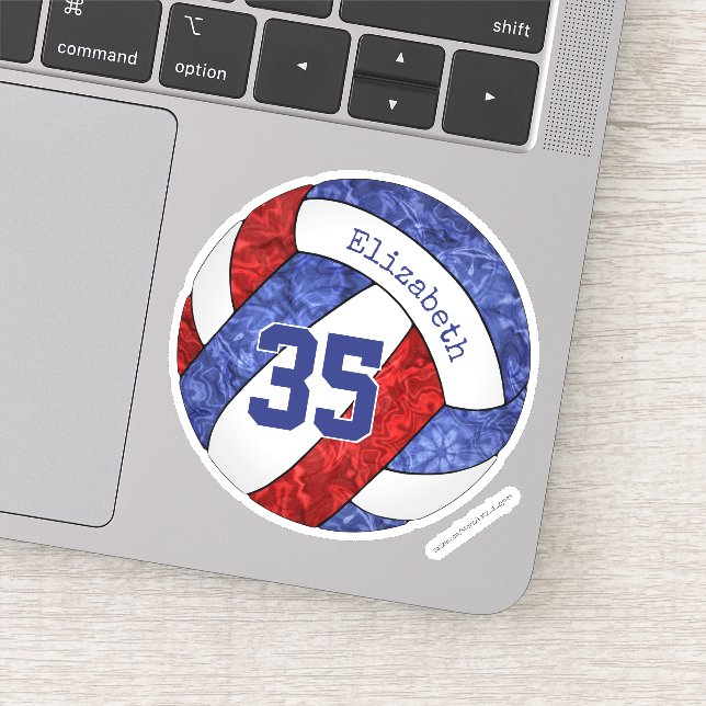 Blaue Farben für die Volleyballmannschaft der rote Aufkleber (Detail)