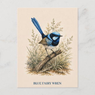 Blaue-Feenzaunkler-Postkarte | Bush Edition Postkarte
