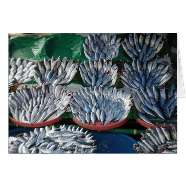 Blaue Fische (Vorderseite (Horizontal))