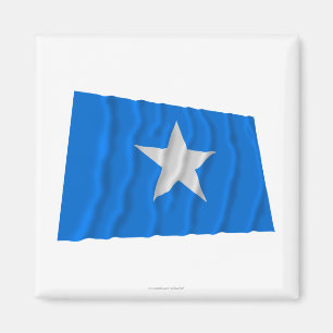 Blaue Flagge / Flagge der Republik Westflorida Magnet
