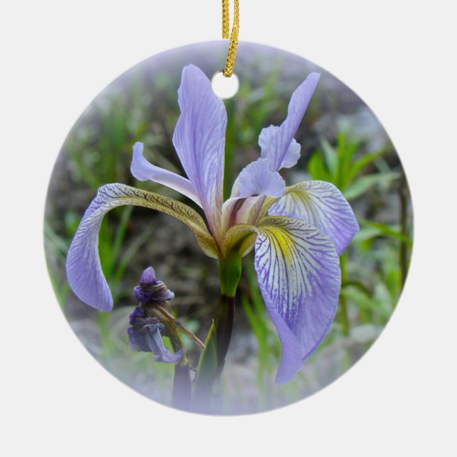 Blaue Flagge - Wild Iris Keramikornament (Vorne)