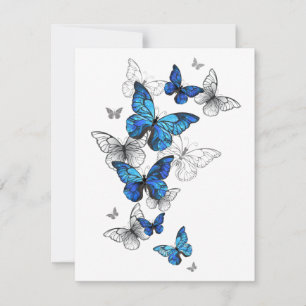 Blaue fliegende Schmetterlinge Morpho Feiertagskarte