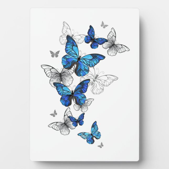 Blaue fliegende Schmetterlinge Morpho Fotoplatte (Vorderseite)